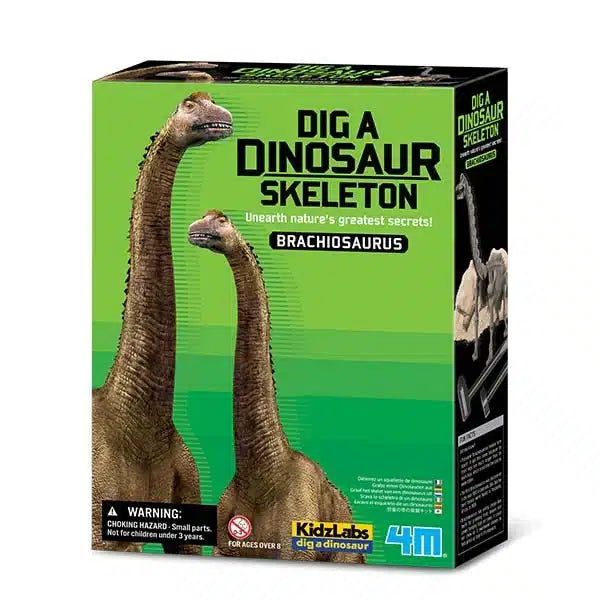 4m - kidzlabs - dig out - brachiosaurus
