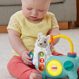 Fisher Price Linkimals Aktiviteter Lama