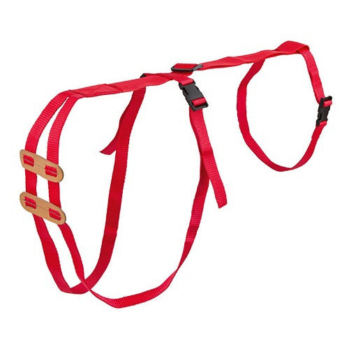 Bandagem corporal para prolapso de ovelhas