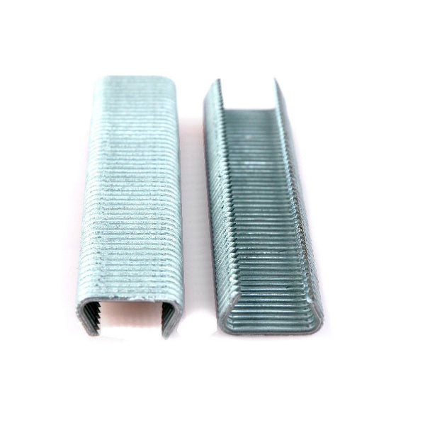 Giardino mesh staples galvanized 20mm 200pcs
