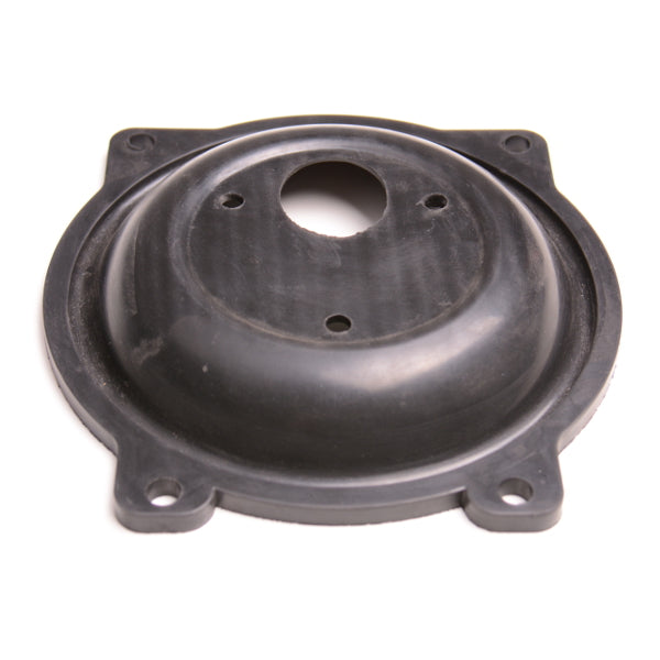 Diaphragm for pasture pump p100