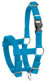 Alpaca Halter blo 2