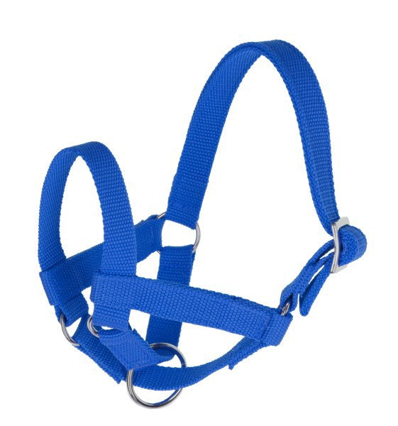 Llama halter blue gr 50