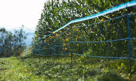 Ako products wildlife netting 75cm x 50m single spike