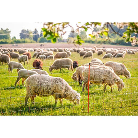 Ako products post red 105cm v sheep net single spike