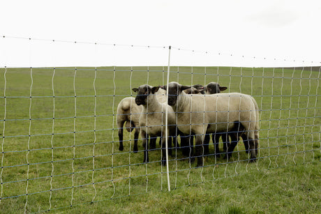 Ako products spare post single pin for wolf defence net