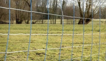 Ako Schofsnetz Titannet Double Pin 145cm
