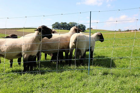 Ako products sheep net Titan Premium Vario 106 cm x 50m double spike