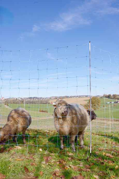 Ako products sheep net ovinet blue-white 170cm x 25m double spike