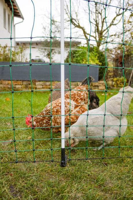 Ako products chicken netting maxi 122cm 25m double spike green-white