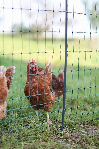 Ako Products Poultry Net Premium Electrifiable 25m