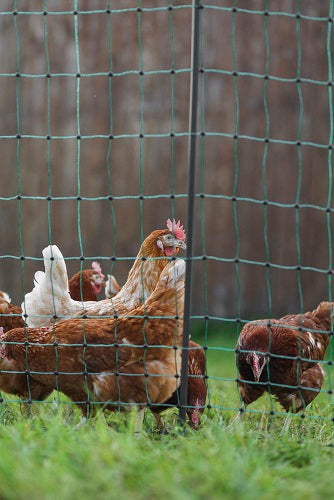 Ako products poultrynet premium electrifiable 50m