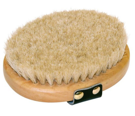 Pampering brush oval wooden back horse hair brushco