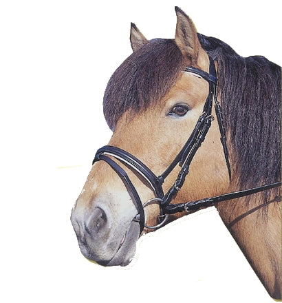 Products bridle standard leather brown full