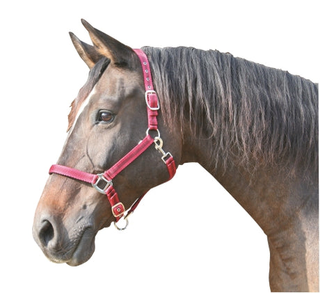 Abi Products Mustang halter 2x adj redblack 3 full