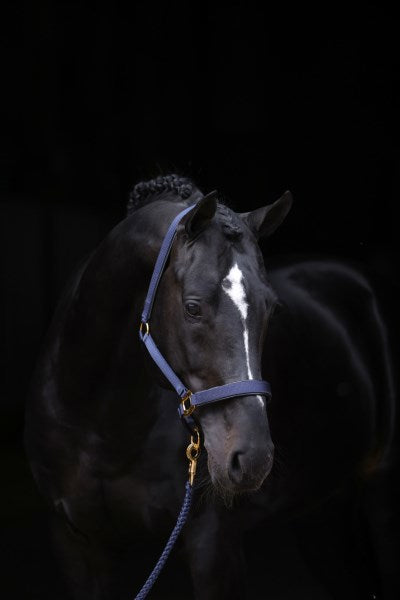 Abi products topline halter blue 2 extra full