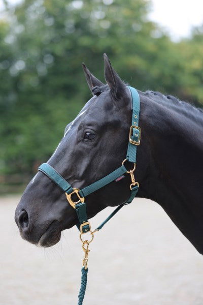 Abi products topline halter dark green 4 extra full
