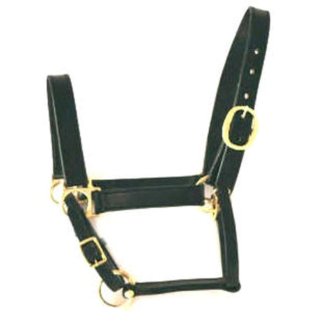Products halter leather black full