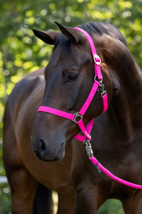 Abi products hippo halter pink 0 shetland