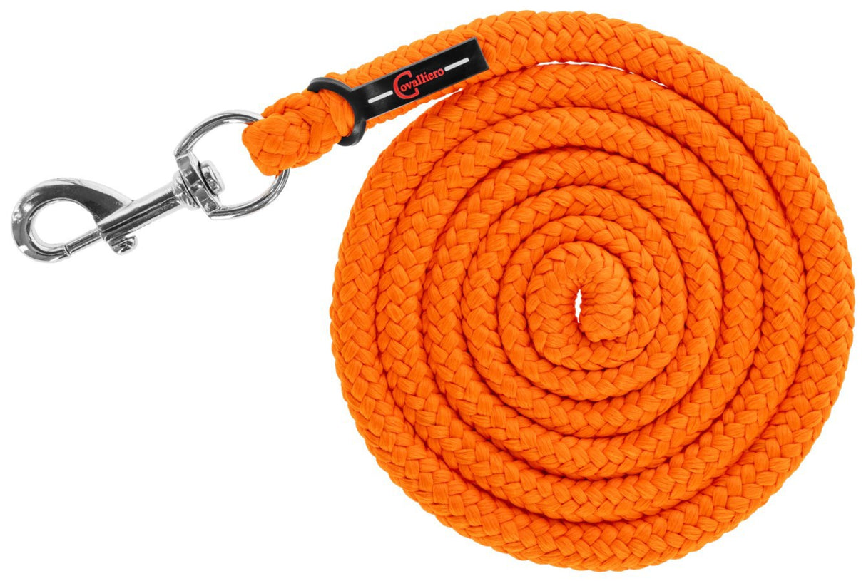 Delivery line with carabiner hippo pe orange