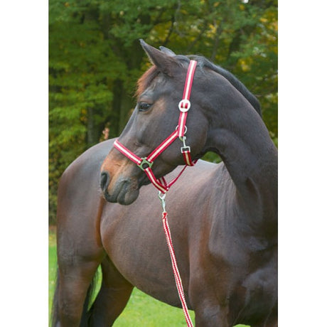 Abi products hippo halter burgundybeige 0 shetland