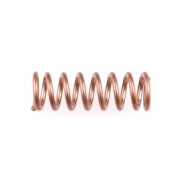 Gloria valve spring