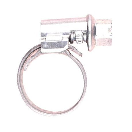Gloria hose clamp 2