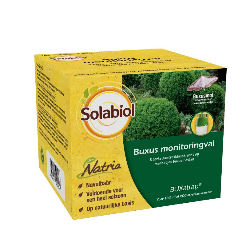 Solabiol products buxatrap boxwood monitoring trap 1
