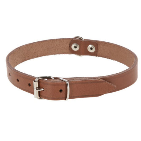 Products dog collar leather 16mm taupe