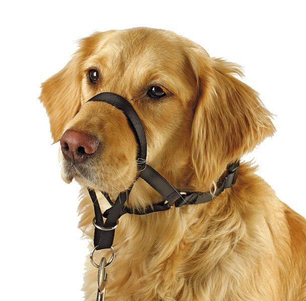 Training harness maxi coach 32 cm black