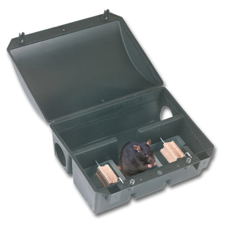 Products feed box plus key blockbox bora rat
