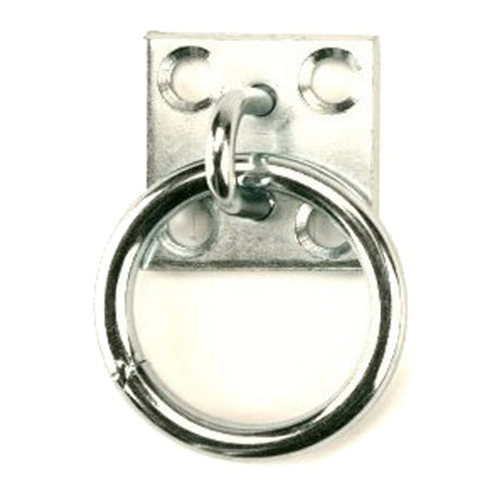 Products wall plate with 8mm ring galvanized