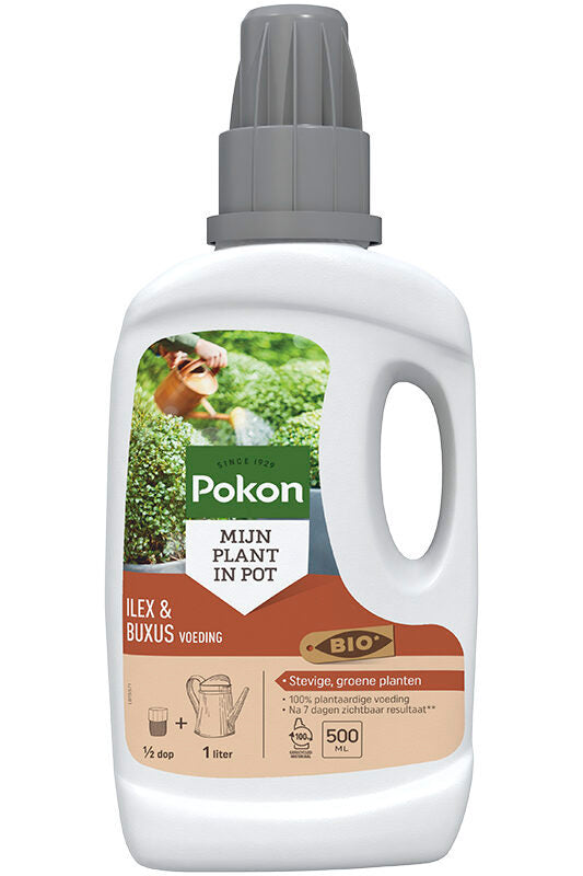Pokon bio boxwood ilex food 500 ml