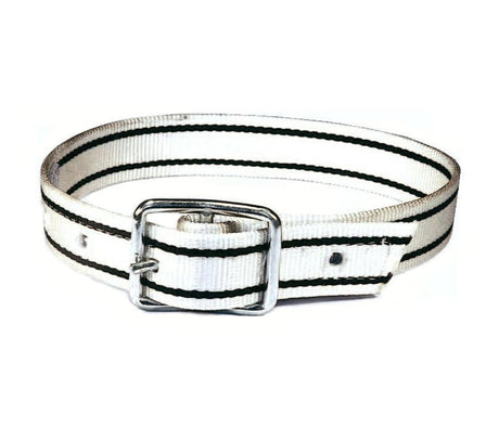 Producten zeugeband nylon 180cm tonggesp