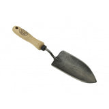Déi wäiss Produiten Planz scoop x Treme Äschen Grëff 14cm Stardewitstar
