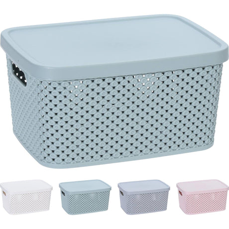 Storage solutions opbergdoos met deksel 3,5 liter 23x17x12cm kunststof 4ass