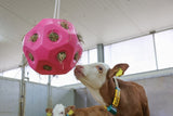 Pink feeding toy ball