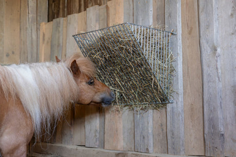 Abi products hay rack wall model fine bar spacing 20mm
