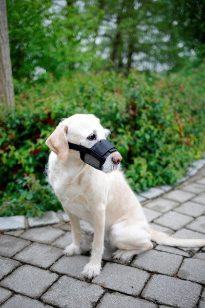 Produkter Nylon Muzzle Hond Gréisst XL schwaarz