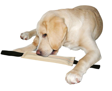 Trainingsdummy 31 cm schwëmmt