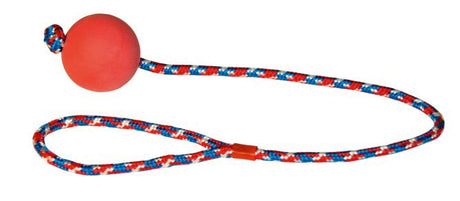 Balle en caoutchouc mousse sur corde 60cm