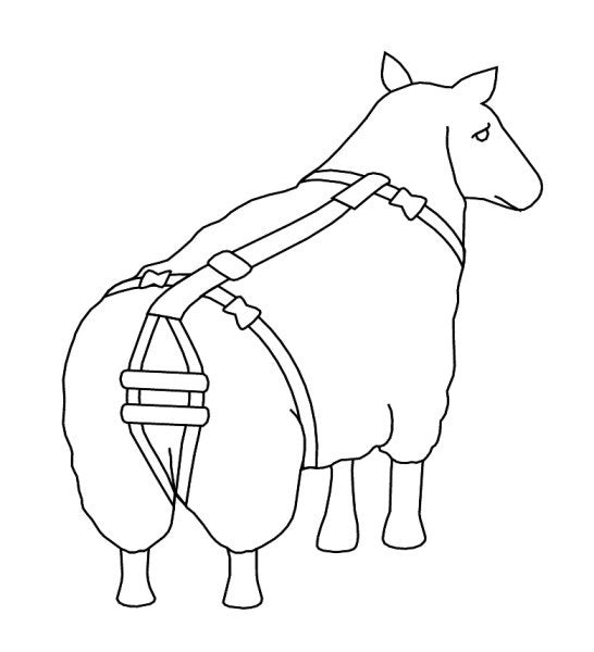 Bandagem corporal para prolapso de ovelhas