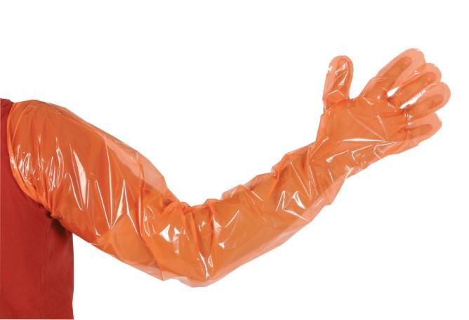 Kerbl undersøkelseshanske vetbasic lang 90cm %c3%a0 100 stk