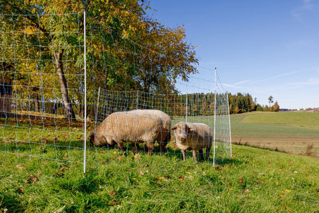 Ako products sheep net ovinet blue-white 170cm x 25m double spike