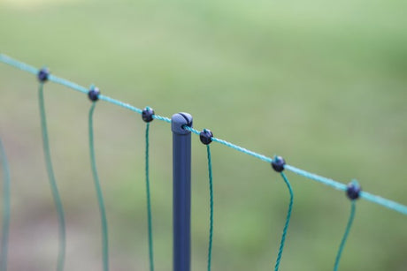 Ako poultry net premium, electrifiable, 50m, 2