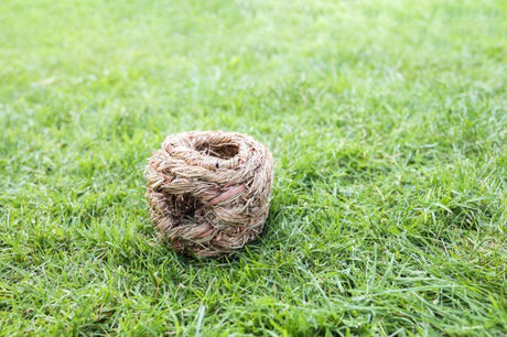 Kerbl Grasball %c3%b8 13 cm