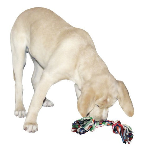Cotton Rope Toy 20cm