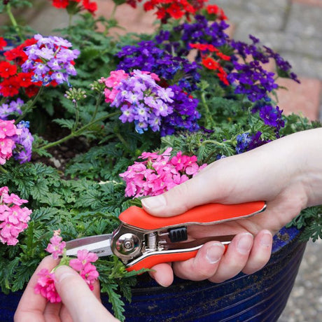 Connex trimmer scissors mini box - flor70368