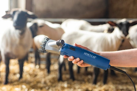 Aesculap econom products shearing machine econom nova 200 watt sheep
