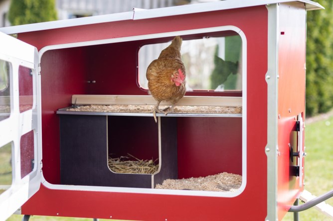 Abi mobilecoop wooden chicken coop